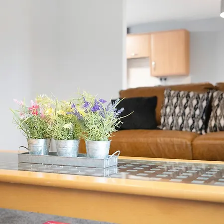 펜션 New! 3br In Traynor Square